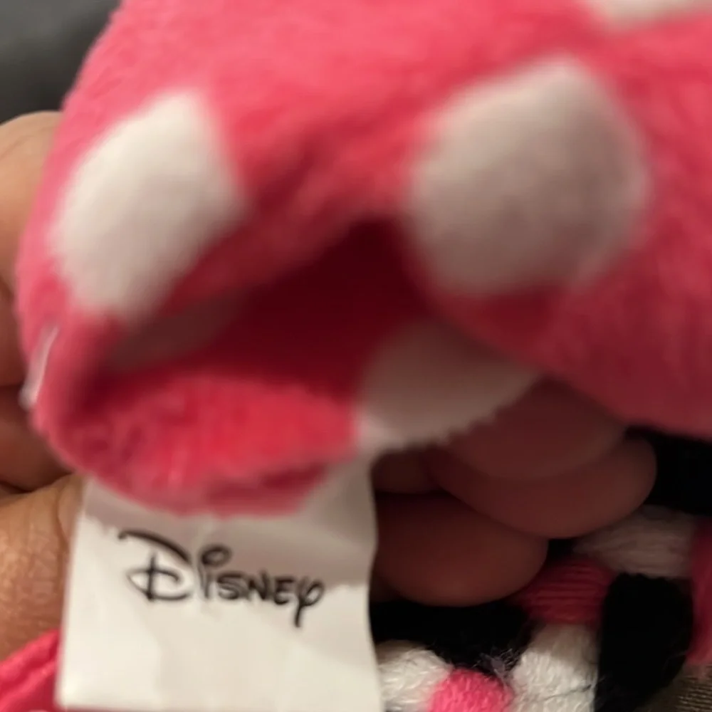 Disney hat bring